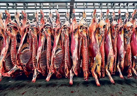 Producătorii români acuzaţi că au stat la baza scandalului cărnii de cal: «Nu ştiu cine are interes să lovească în noi»