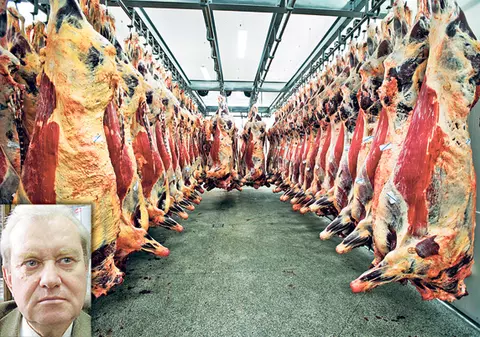 Profesorul Mencinicopschi ne linişteşte: "Carnea de cal e excelentă!"