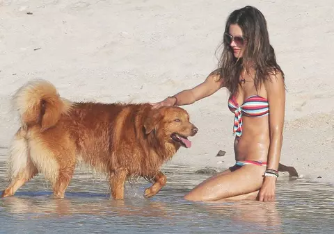 Și câinii salivează după Alessandra Ambrosio! | FOTO