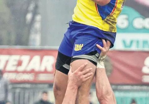 Astea-s legile «stejarilor»!