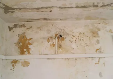 Dosarele judecate la Mediaș, în pericol: Plouă în clădire | FOTO