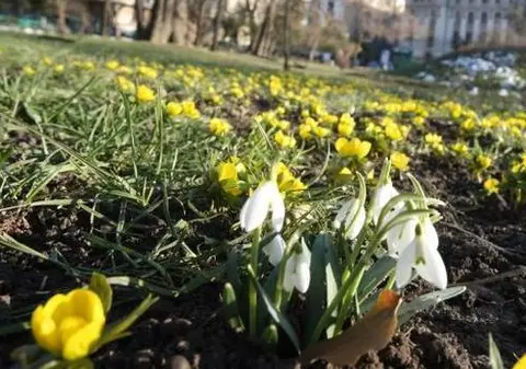 PROGNOZA METEO pentru săptămâna viitoare. Vezi cum va fi vremea de 1 Martie