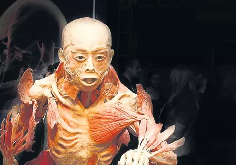 Ai curaj? Intră în cea mai macabră expoziţie din lume - FOTO