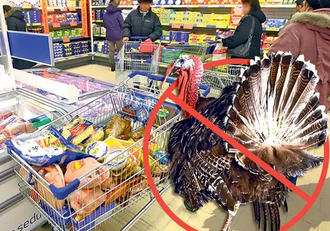 Românii speriaţi de scandalurile alimentare | Nici curcanul nu e bun! Şi noi ce mai mâncăm?