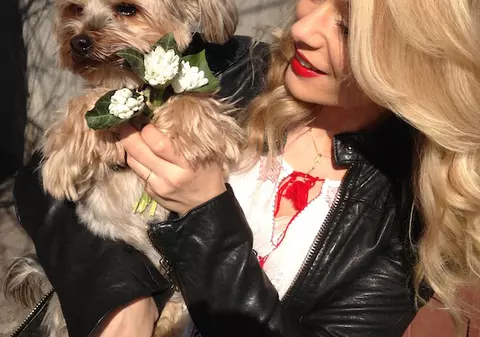 Laura Cosoi a pregătit o surpriză de 8 Martie: "Sper să vă placă. Am emoţii!"