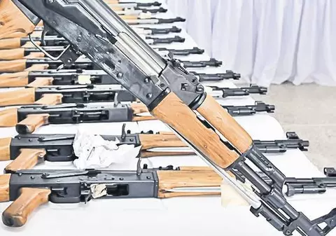 Arme de vânătoare, confiscate de la hoţii tablourilor olandeze