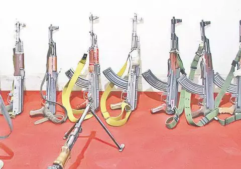 Directorul general al Uzinei Mecanice Sadu, reținut pentru trafic de armament