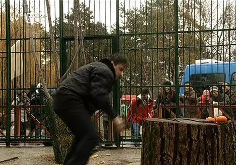 Claudiu Bleonţ, exponat de lux la Zoo! Află cum a ajuns să fie închis în cușcă!