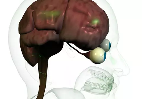 Femeile au creierul mai mic decât bărbaţii, dar este mult mai productiv