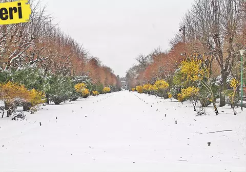 În weekend scăpăm de iarnă! Temperaturile vor urca duminică până la 17 grade Celsius în Muntenia