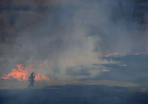 Incendiu la Lacul Văcăreşti din Capitală! Pompierii au stins vegetaţia aprinsă 