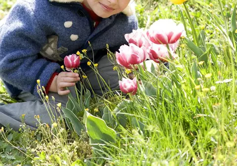 PROGNOZA METEO: Vezi cum va fi vremea în acest weekend!