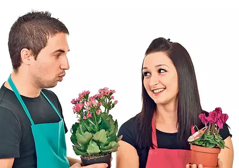 Ai flori pe balcon sau în grădină? Iată ce trebuie să ai în vedere până la sfârşitul lunii martie