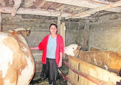 EXCLUSIV! «Mi-au dăruit o vacă, aşa m-au convins să devin AMISH»
