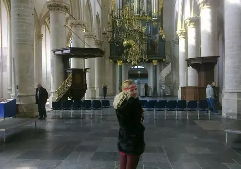 Rouge a cules lalele în loc să facă shopping în Olanda