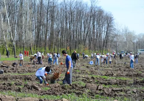 Acțiune eco în Parcul Natural Comana! Au fost plantați 4.000 de Mega Copaci