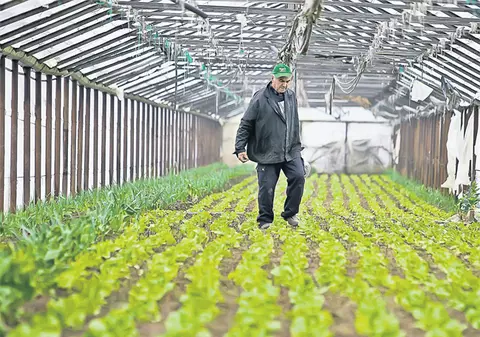 De aici vin trufandalele!