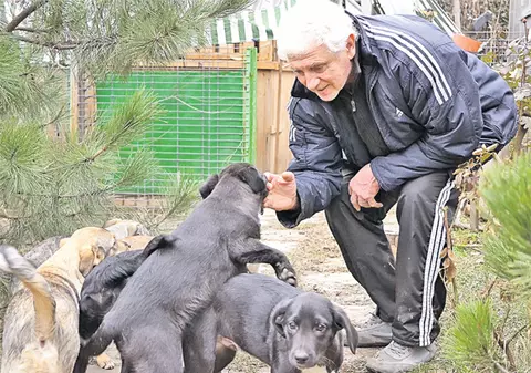 Szobi Cseh caută stăpâni pentru «câini gladiatori»