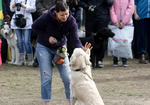 Adu-ţi căţelul la o prezentare de modă în parc!