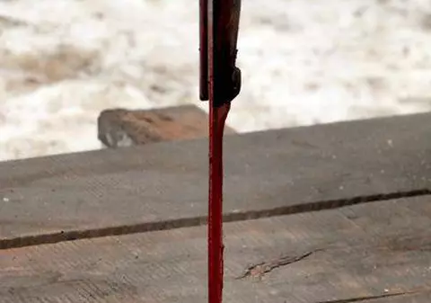 Șocant! Adolescentă de 16 ani, măcelărită de iubitul de 39 de ani 