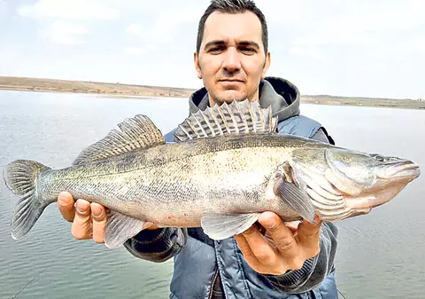 PESCUIT SPORTIV | Lacul Frăsinet-Valea Argovei, locul unde şalăul e rege