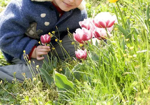 Soare sau ploi? Iată PROGNOZA METEO pentru următoarele zile!