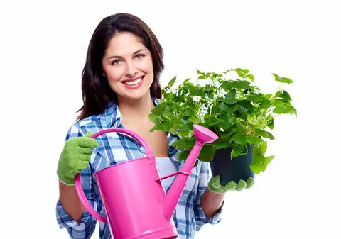 Cele mai bune trucuri pentru plantele de acasă
