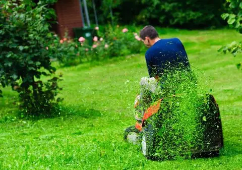 Stai la curte şi îţi doreşti un gazon superb? Iată paşii pentru un covor verde perfect