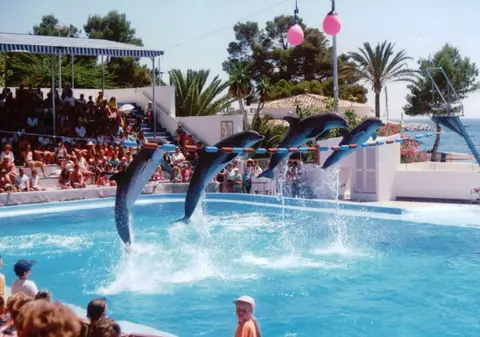 Parcuri de distractie in Mallorca