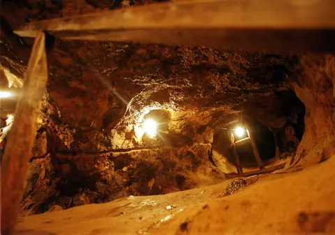 Cianurile vor fi interzise în România! Anunțul făcut de Ministrul Mediului