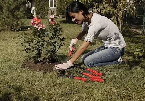 Fă-ţi grădină... la preţ redus!