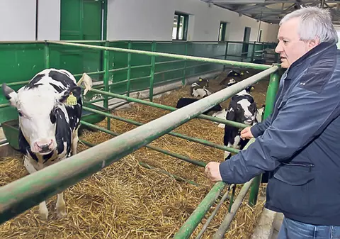 UEFA i-a impus să se rezume la vaci! Ori observator, ori patron la Vaslui, i-ar fi transmis lui Adrian Porumboiu oficiali ai forului continental