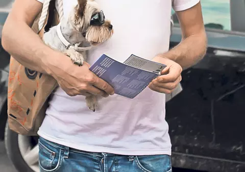 Solcanu s-a luat în gură cu Remus Cernea