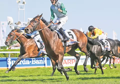 Cruzime de 7.500 €! Jocheul german Andrasch Starke a plătit pentru că şi-a cravaşat prea mult calul