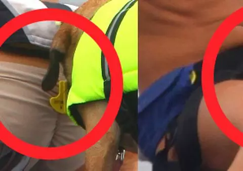 SCENE INDECENTE CU CÂINELE EI! Vedetă surprinsă în ipostaze penibile | FOTO