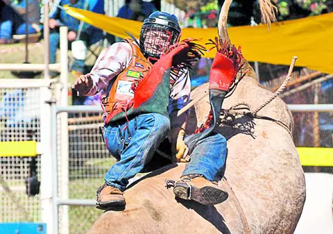 Campionatul European de Rodeo, la Băile Felix