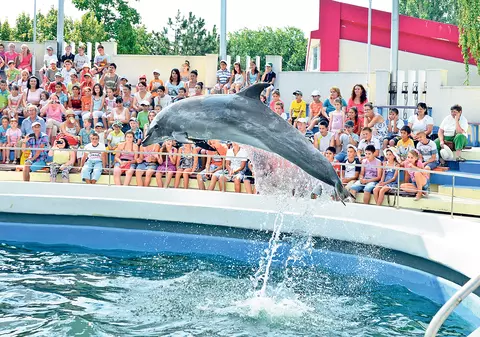 120.000 de euro pentru Pei-Pei!