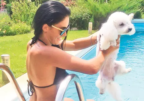 VIAȚĂ DE CÂINE! Uite cum își răsfață vedetele animalele! FOTO