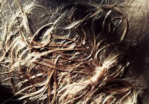 Aceste FIRE DE PĂR sunt dovada SCHIMBĂRII DE LOOK! Vezi prin ce TRANSFORMARE a trecut Simona Gherghe! FOTO