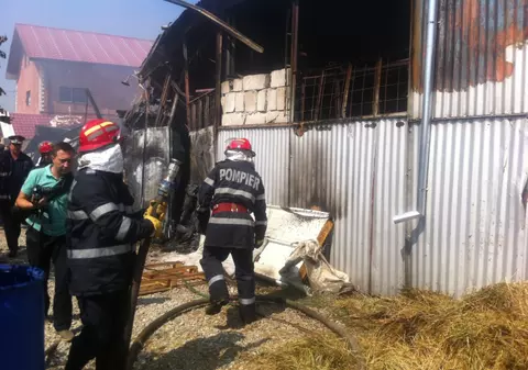 O fermă de animale exotice s-a facut scrum în Prahova!