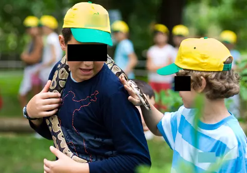 ŞOCANT | Doi copii ucişi de un piton scăpat dintr-un magazin de animale