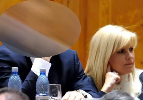 SENZAŢIONAL! PARIU că n-o să ghiceşti niciodată ce politician de top a fost AVOCATUL FAMILIEI UDREA COCOŞ?