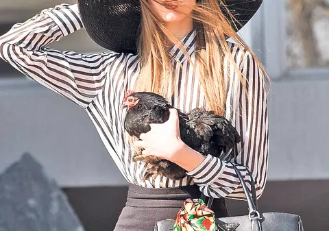 Iulia, ăstea nu-ți plac? Zeci de «moţate» din rase rare au fost scoase la vânzare în București