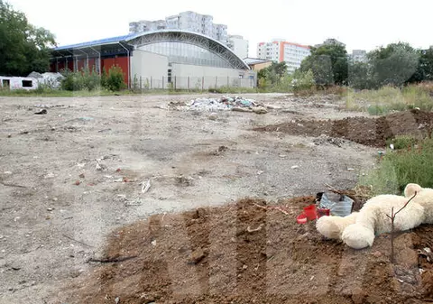 EXCLUSIV | RĂSTURNARE DE SITUAŢIE în cazul morţii lui Ionuţ! Ce spun veterinarii