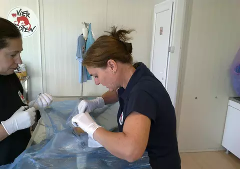 Se poate! Află unde au fost sterilizaţi, în 8 luni, peste 1.800 de maidanezi!