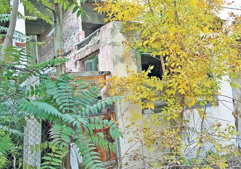 PRETENȚIILE HALUCINANTE ale unui clujean! Ce A CERUT el primarului ÎNTRECE IMAGINAȚIA