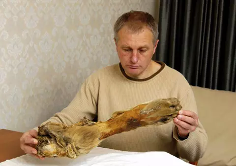 Misterul lui YETI, OMUL ZĂPEZILOR, a fost ELUCIDAT? EXPLICAŢIA este NĂUCITOARE! FOTO