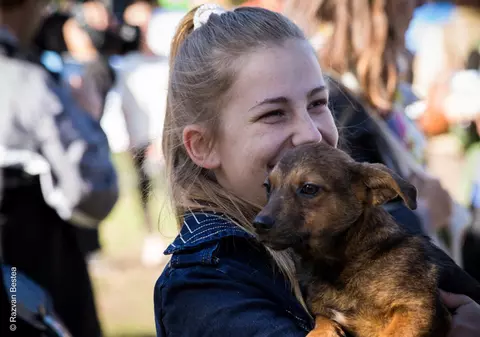 Donaţii de 5.000 de lei într-o singură zi pentru maidanezi