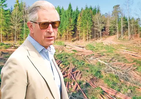 Prinţul Charles ne urechează! Moştenitorul tronului Marii Britanii spune că suntem nesăbuiţi şi tăiem copaci cu nemiluita