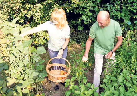 Băse: «Hai, Mărie, la cules!» | Ca să nu mai meargă la piaţă, preşedintele a cultivat în grădina de protocol roşii, ardei şi castraveţi